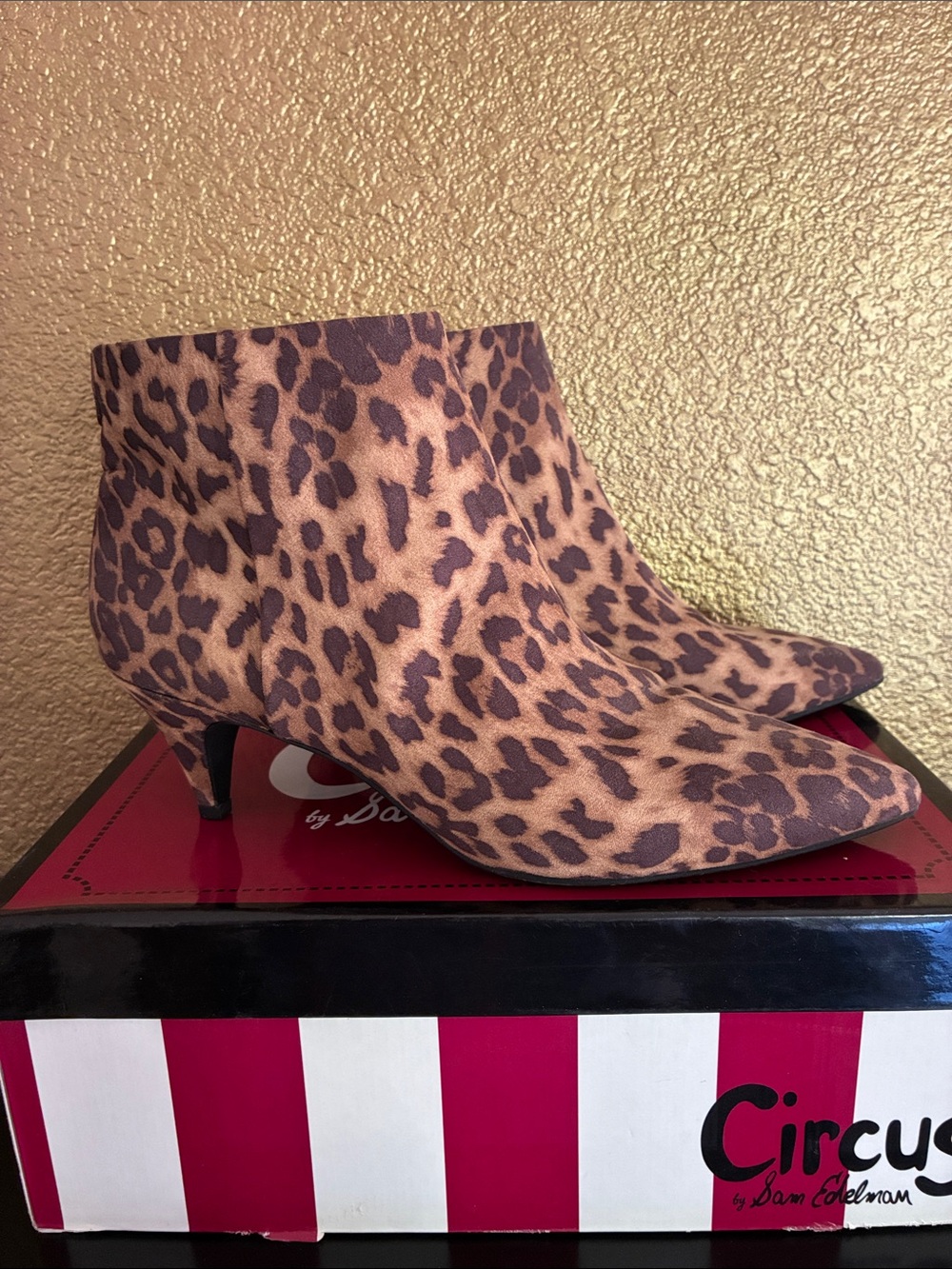 Circus by Sam Edelman Leopard Print Kitten Heel Booties - Tan/Black 8